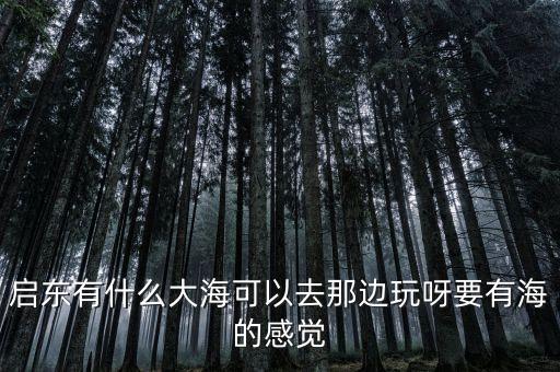 啟東有什么大海可以去那邊玩呀要有海的感覺