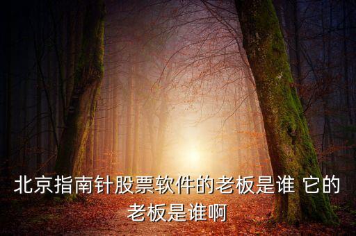 北京指南針股票軟件的老板是誰(shuí) 它的老板是誰(shuí)啊