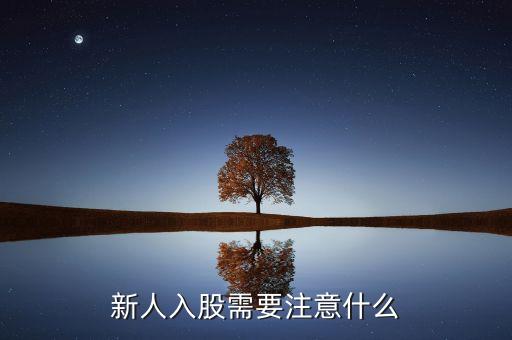 新人入股需要注意什么