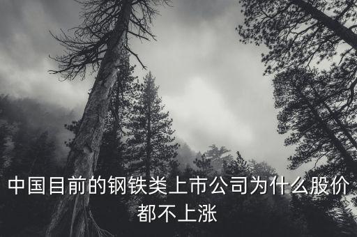 中國目前的鋼鐵類上市公司為什么股價都不上漲