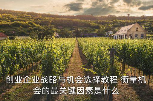 創(chuàng)業(yè)企業(yè)戰(zhàn)略與機(jī)會(huì)選擇教程 衡量機(jī)會(huì)的最關(guān)鍵因素是什么