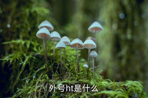 買受人號碼ht是什么，備案合同中買受人號碼HT
