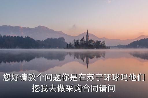 蘇寧環(huán)球是做什么的，蘇寧環(huán)球張桂平是做啥的