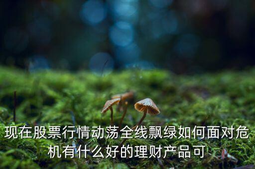股市全盤飄綠明天股東有什么反應，現(xiàn)在股票行情動蕩全線飄綠如何面對危機有什么好的理財產(chǎn)品可