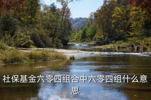 社?；鹆闼慕M合中六零四組什么意思