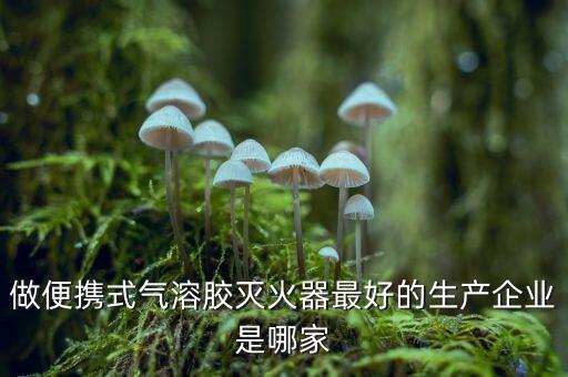 堅瑞消防是什么行業(yè)，做便攜式氣溶膠滅火器最好的生產(chǎn)企業(yè)是哪家