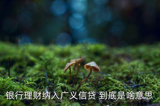 什么是廣義信貸，信貸是什么意思