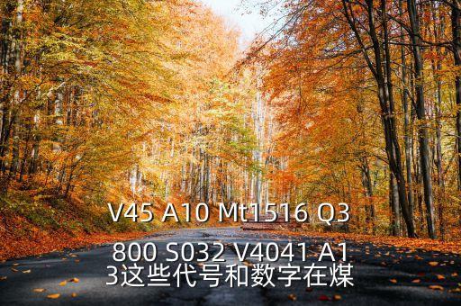 V45 A10 Mt1516 Q3800 S032 V4041 A13這些代號和數(shù)字在煤