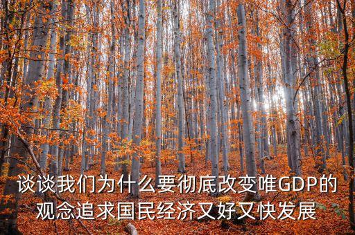 談?wù)勎覀優(yōu)槭裁匆獜氐赘淖兾℅DP的觀念追求國民經(jīng)濟又好又快發(fā)展