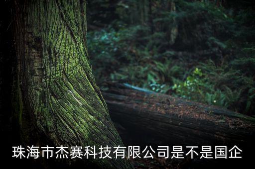 珠海市杰賽科技有限公司是不是國企