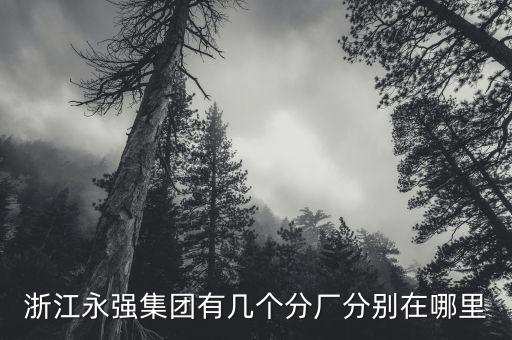 浙江永強(qiáng)集團(tuán)有幾個(gè)分廠分別在哪里