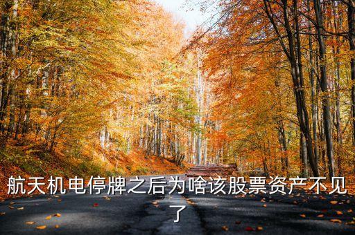 停牌為什么資金沒了，期貨停牌資金為何為零