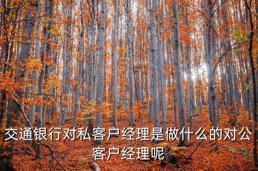 交通銀行對私客戶經(jīng)理是做什么的對公客戶經(jīng)理呢