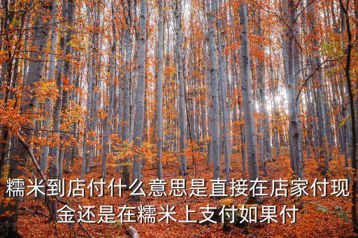 糯米到店付什么意思是直接在店家付現(xiàn)金還是在糯米上支付如果付