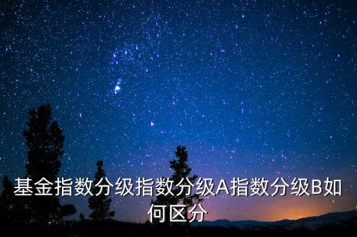 基金指數(shù)分級(jí)指數(shù)分級(jí)A指數(shù)分級(jí)B如何區(qū)分