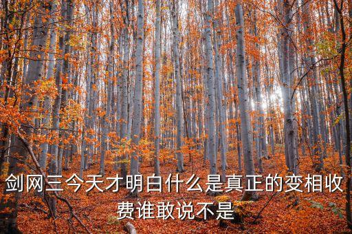 什么是變相收費，QQ屬于變相收費
