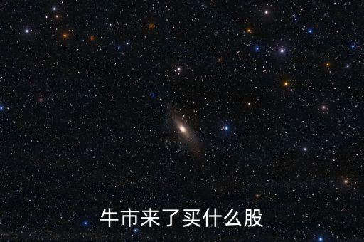 牛市后期買什么股票，牛市來了買什么股