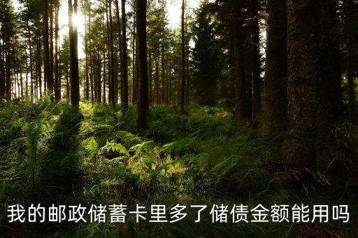 我的郵政儲蓄卡里多了儲債金額能用嗎