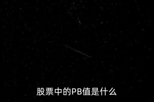 股票pb是什么，股市中的股脂pb是什么意思