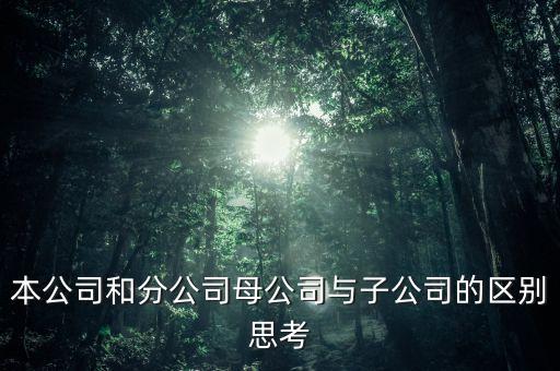 什么是對內擔保，本公司和分公司母公司與子公司的區(qū)別思考