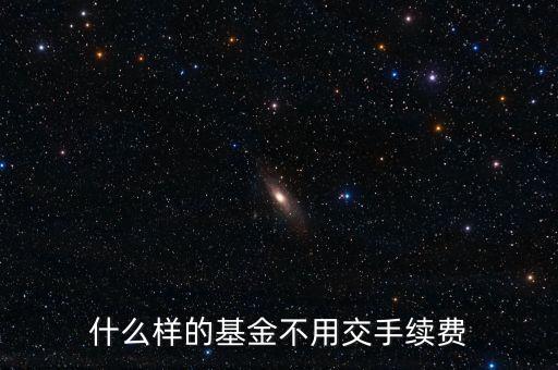 什么樣的基金不用交手續(xù)費