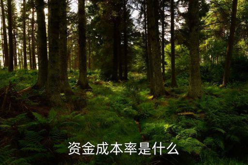 什么是資本成本率，資本成本與資本成本率區(qū)別
