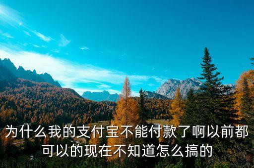 為什么我的支付寶不能付款了啊以前都可以的現(xiàn)在不知道怎么搞的