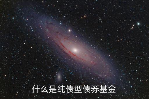 什么是純債型債券基金