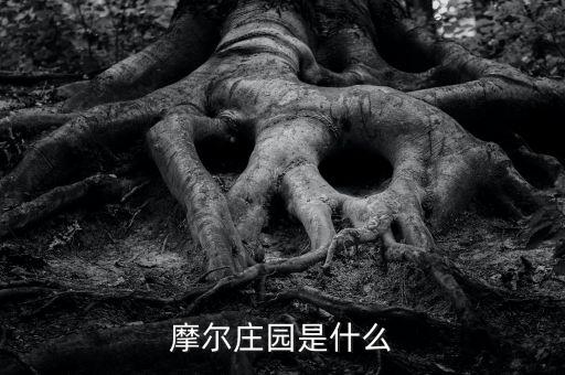 中國為什么訪問捷克，電腦裝了360和Z武器還要裝什么殺毒軟件