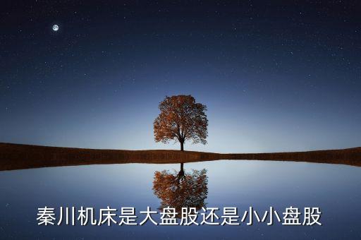 秦川機(jī)床是什么板塊的，600248是屬于什么板塊的股有潛力沒的能看高到多少價(jià)位