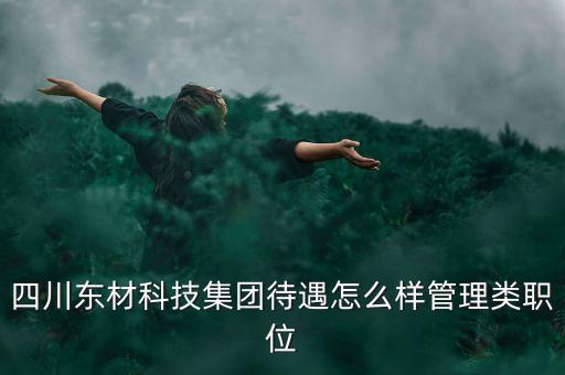 東材科技什么題材，四川東材科技集團待遇怎么樣管理類職位
