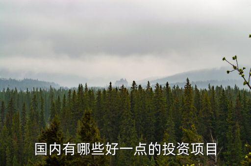中國人投資什么好，國內(nèi)有哪些好一點的投資項目