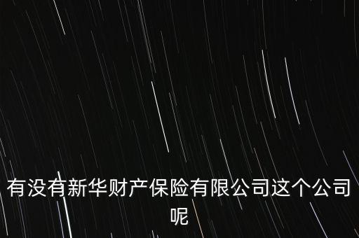 新華保險(xiǎn)為什么沒有財(cái)險(xiǎn)，有沒有新華財(cái)產(chǎn)保險(xiǎn)有限公司這個(gè)公司呢