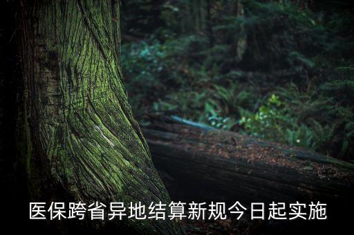 中國什么時候?qū)崿F(xiàn)異地就醫(yī)結(jié)算，什么時候全面啟動國家異地就醫(yī)結(jié)算系統(tǒng)