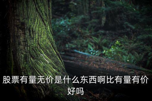 股票有量無價什么意思，股票有量無價是什么東西啊比有量有價好嗎