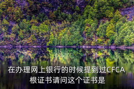 在辦理網上銀行的時候提到過CFCA 根證書請問這個證書是