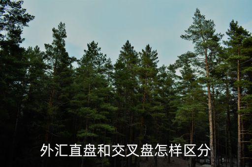 什么叫交叉盤，什么叫交叉盤hg0088誰能跟我指點(diǎn)一下嗎