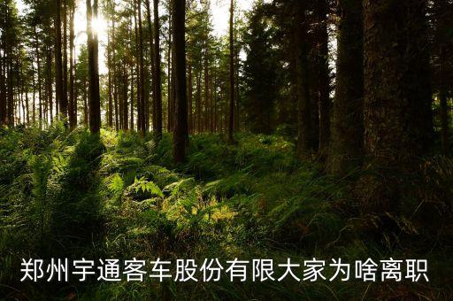 吳項(xiàng)林為什么離開宇通，宇通是怎么了