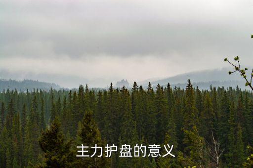 主力護(hù)盤的意義