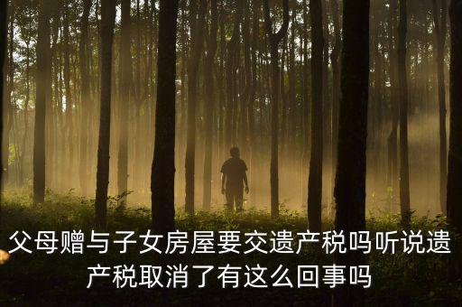 遺產(chǎn)稅是什么意思，遺產(chǎn)稅的功能是什么