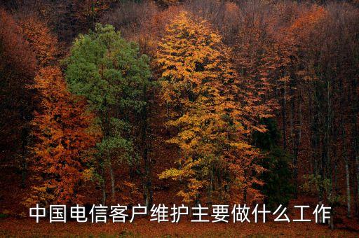 客戶維護(hù)都干什么，中國電信客戶維護(hù)主要做什么工作