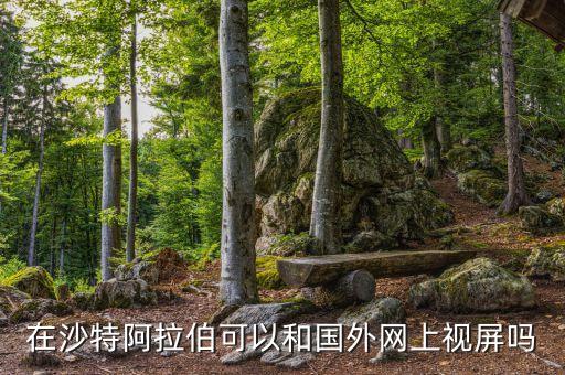 在沙特阿拉伯可以和國(guó)外網(wǎng)上視屏嗎