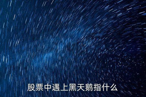 股票中遇上黑天鵝指什么