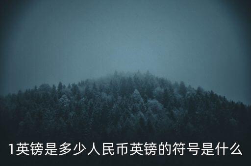 1英鎊是多少人民幣英鎊的符號是什么