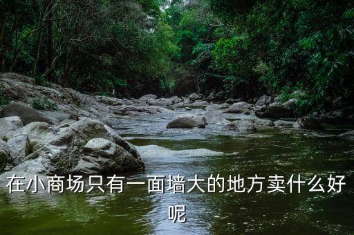 在小商場只有一面墻大的地方賣什么好呢