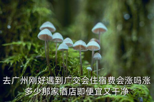 廣交會(huì)期間酒店為什么要漲價(jià)，廣交會(huì)期間酒店漲價(jià)嗎
