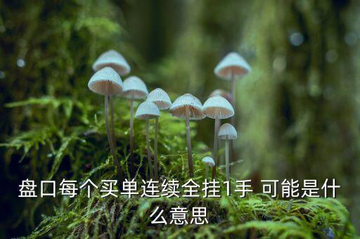 連續(xù)1手的買(mǎi)盤(pán)是什么意思，盤(pán)口每個(gè)買(mǎi)單連續(xù)全掛1手 可能是什么意思