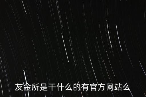 友金所是干什么的有官方網(wǎng)站么