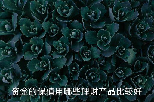 目前除了買國(guó)債還有什么保值理財(cái)，資金的保值用哪些理財(cái)產(chǎn)品比較好