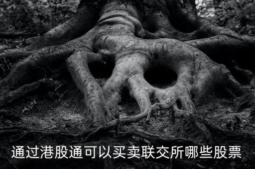 通過(guò)港股通可以買賣聯(lián)交所哪些股票